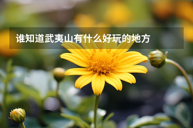 谁知道武夷山有什么好玩的地方