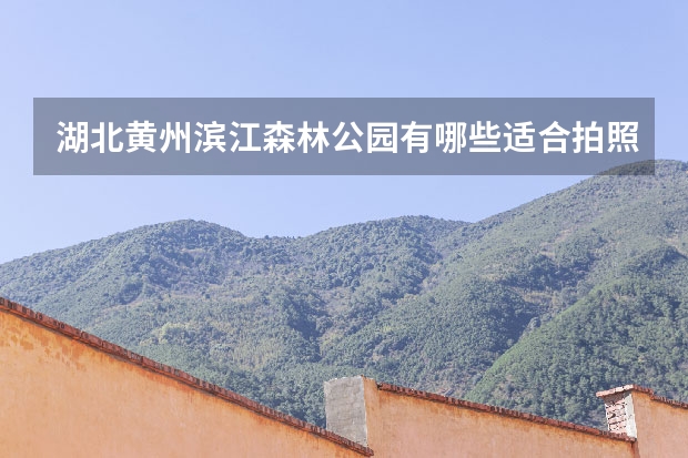 湖北黄州滨江森林公园有哪些适合拍照的景点？
