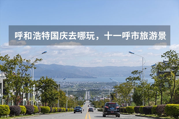 呼和浩特国庆去哪玩，十一呼市旅游景点（去内蒙额济纳的较佳线路）