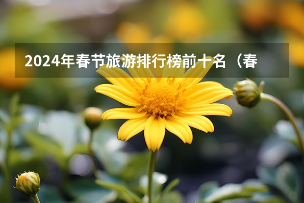 2024年春节旅游排行榜前十名（春节旅游热点城市排行，年前出去旅游推荐城市）