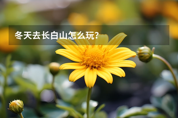 冬天去长白山怎么玩？