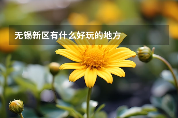 无锡新区有什么好玩的地方