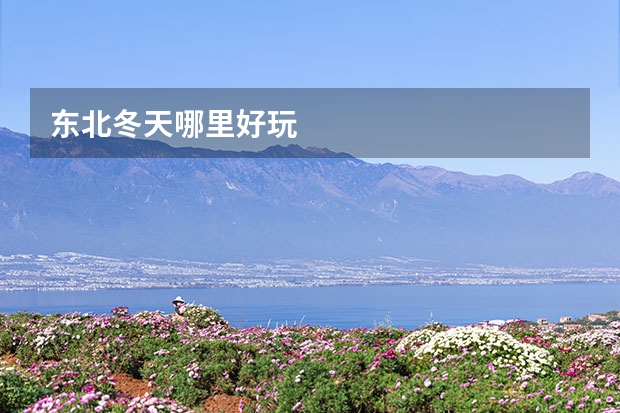 东北冬天哪里好玩