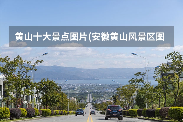 黄山十大景点图片(安徽黄山风景区图片 黄山九大景点(黄山的六大景区)