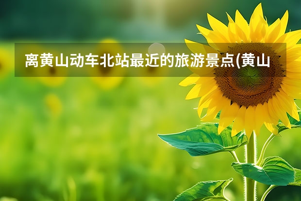 离黄山动车北站最近的旅游景点(黄山火车站跟黄山北站哪个离黄山景区近一点) 黄山什么时候去最好