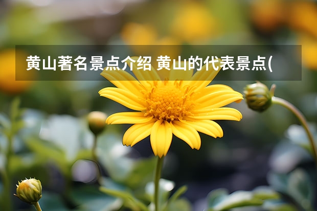 黄山著名景点介绍 黄山的代表景点(黄山的代表景点有哪些)