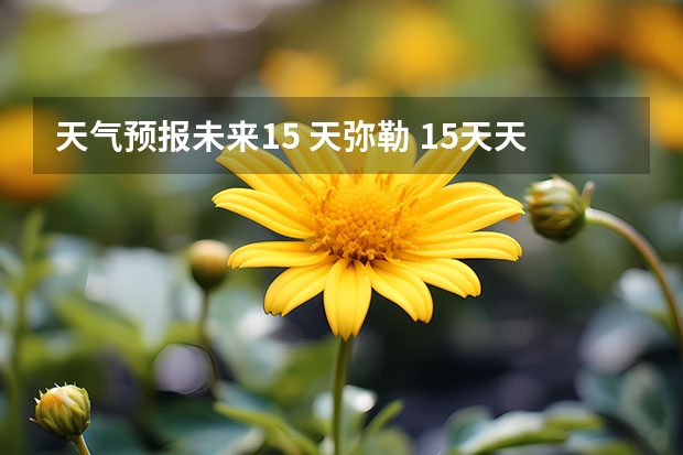 天气预报未来15 天弥勒 15天天气预报准确率多高
