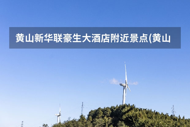 黄山新华联豪生大酒店附近景点(黄山附近五星级酒店) 黄山名茶