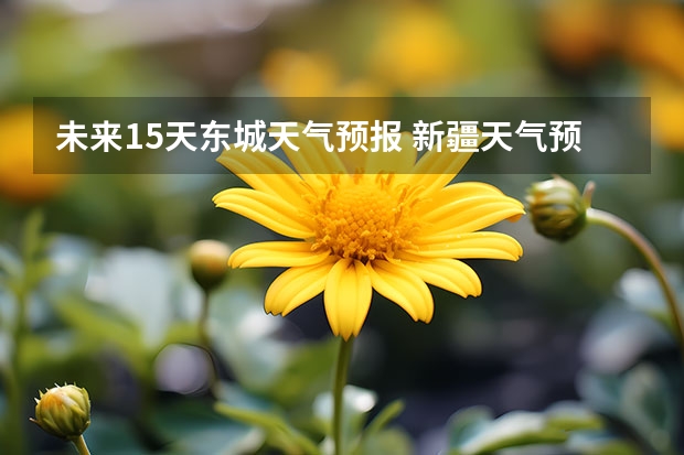 未来15天东城天气预报 新疆天气预报15天天