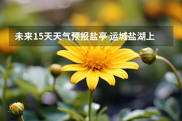 未来15天天气预报盐亭 运城盐湖上郭天气预报15天