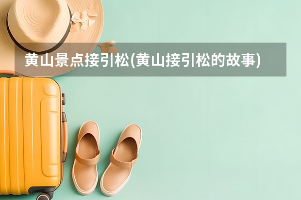 黄山景点接引松(黄山接引松的故事) 旅游黄山景点老人卡能便宜吗(黄山旅游老人有优惠吗)
