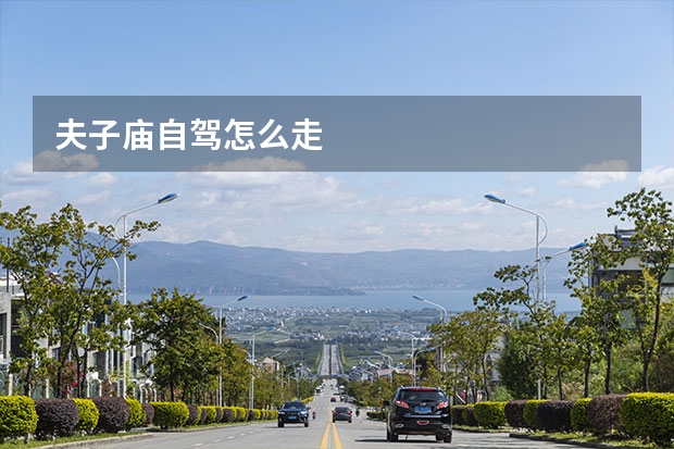 夫子庙自驾怎么走 