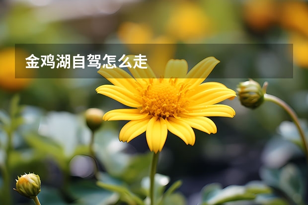 金鸡湖自驾怎么走 