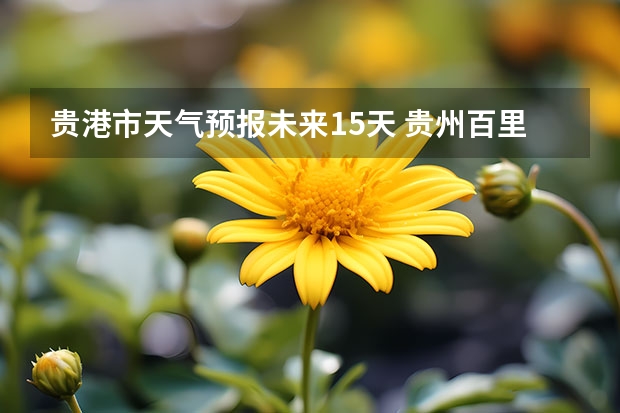 贵港市天气预报未来15天 贵州百里杜鹃天气15天查询