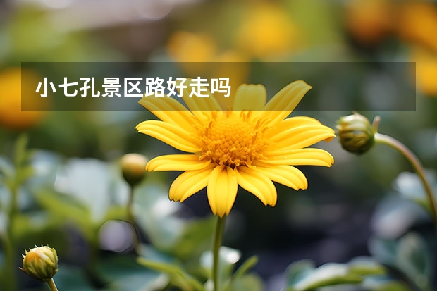 小七孔景区路好走吗