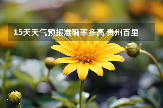15天天气预报准确率多高 贵州百里杜鹃天气15天查询 湖南天气预报15天准确一览表