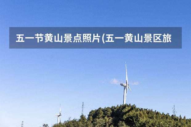 五一节黄山景点照片(五一黄山景区旅游数据) 黄山那些景点比较好玩(黄山那些景点比较好玩儿)