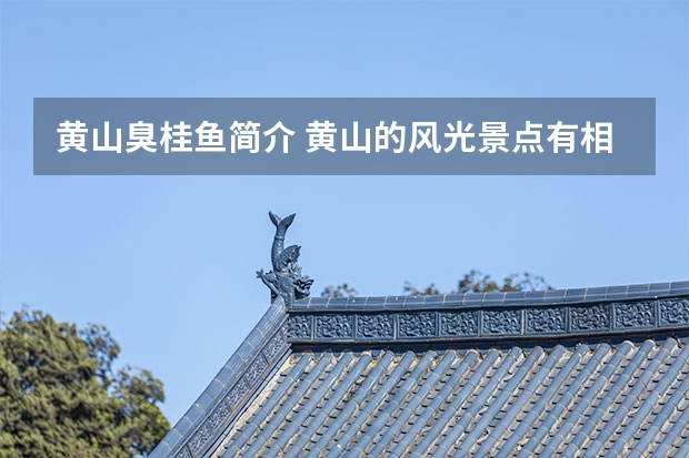 黄山臭桂鱼简介 黄山的风光景点有相关的书(介绍黄山的一处风景)