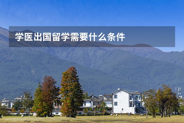 学医出国留学需要什么条件