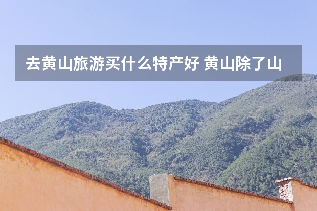 去黄山旅游买什么特产好 黄山除了山还有什么景点(黄山市除了黄山还有什么景点)