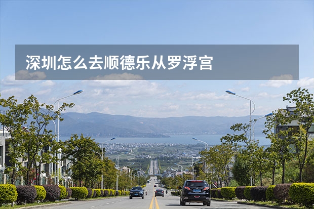 深圳怎么去顺德乐从罗浮宫