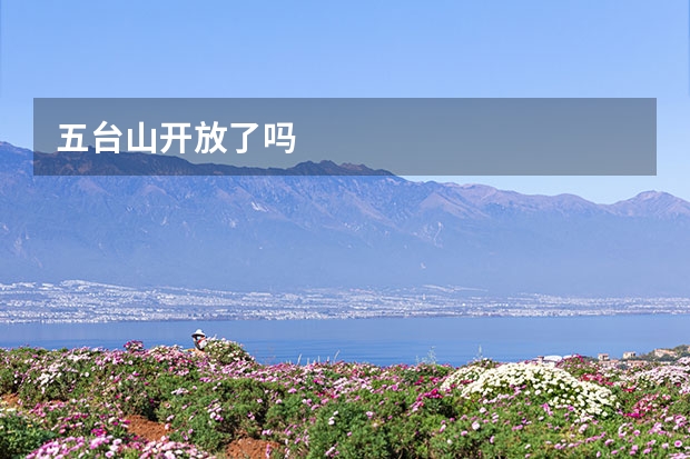 五台山开放了吗