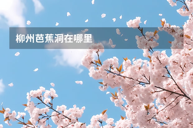 柳州芭蕉洞在哪里