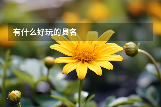 有什么好玩的县名