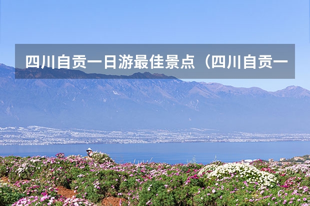 四川自贡一日游最佳景点（四川自贡一日游最佳景点）