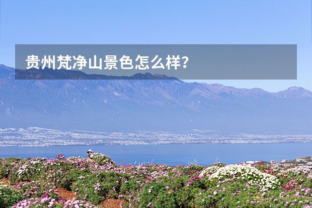 贵州梵净山景色怎么样？