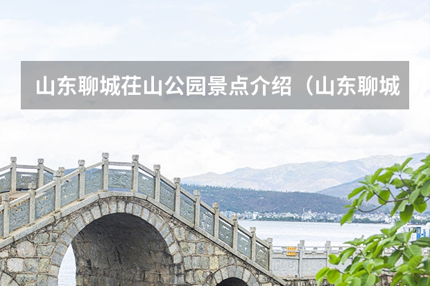 山东聊城茌山公园景点介绍（山东聊城台子高遗址景点介绍）
