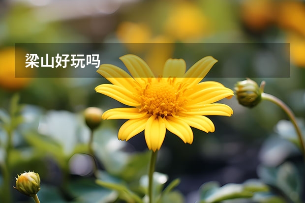 梁山好玩吗