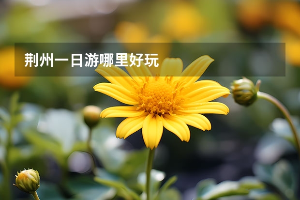 荆州一日游哪里好玩