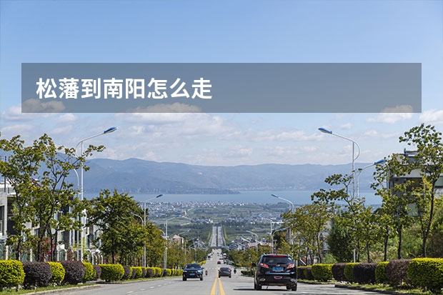 松藩到南阳怎么走