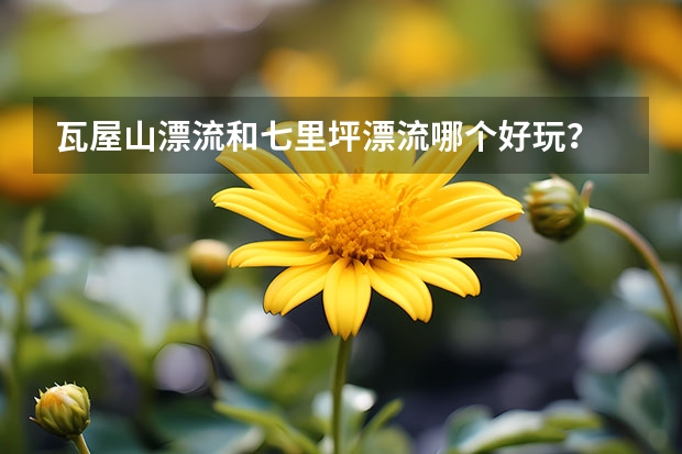 瓦屋山漂流和七里坪漂流哪个好玩？