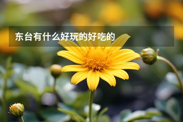 东台有什么好玩的好吃的