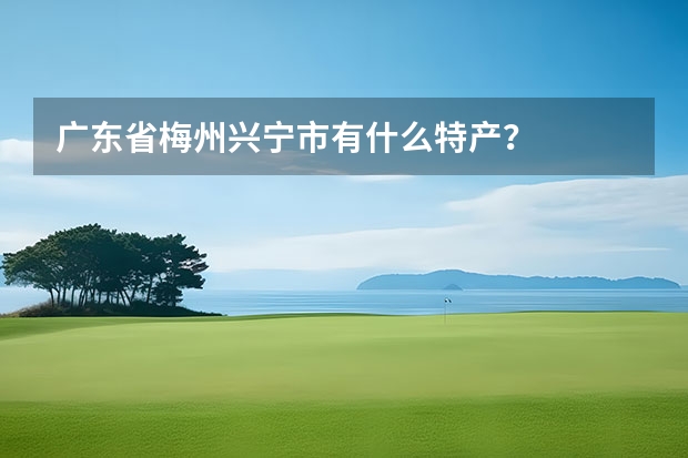 广东省梅州兴宁市有什么特产？