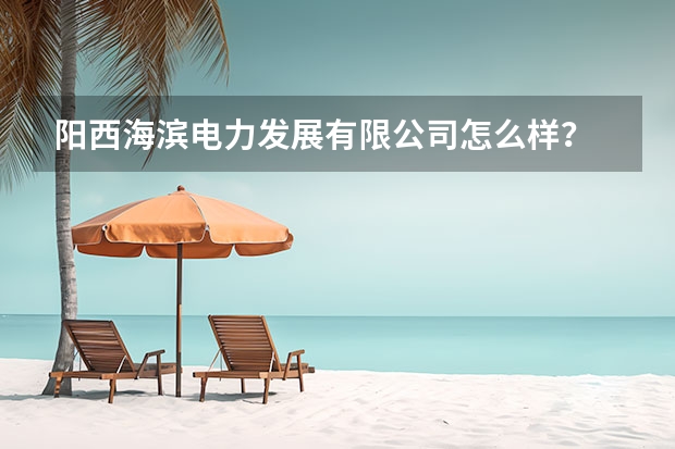 阳西海滨电力发展有限公司怎么样？