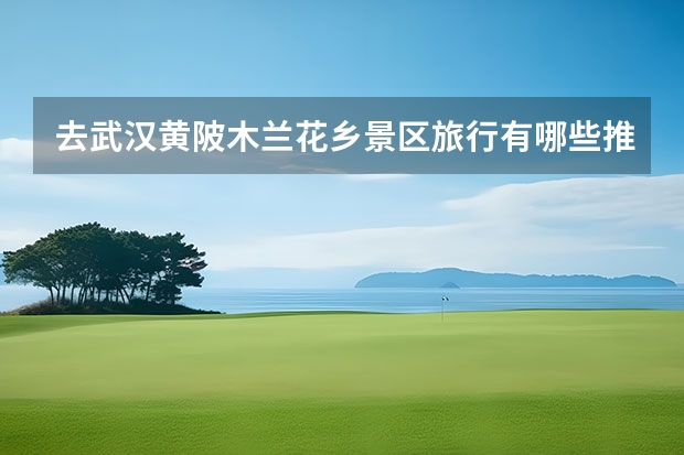 去武汉黄陂木兰花乡景区旅行有哪些推荐购买的伴手礼？