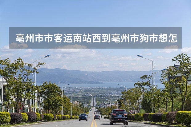 亳州市市客运南站西到亳州市狗市想怎么做公交