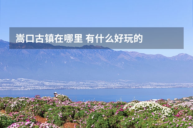 嵩口古镇在哪里 有什么好玩的