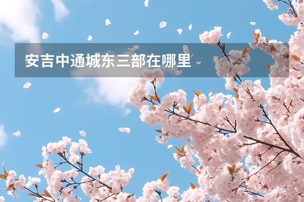 安吉中通城东三部在哪里