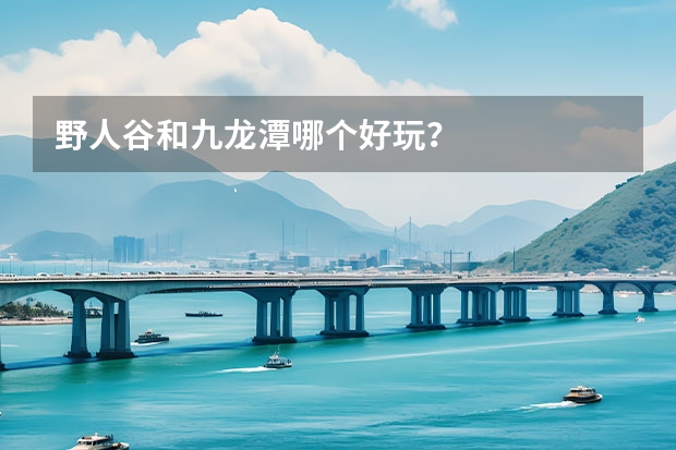 野人谷和九龙潭哪个好玩？