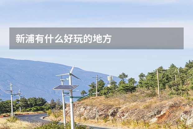 新浦有什么好玩的地方