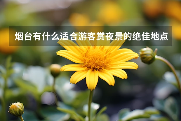 烟台有什么适合游客赏夜景的绝佳地点？