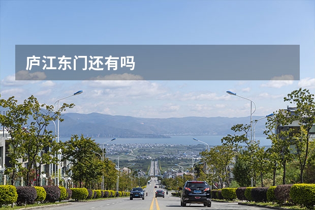 庐江东门还有吗