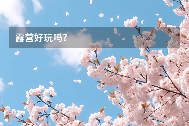 露营好玩吗?