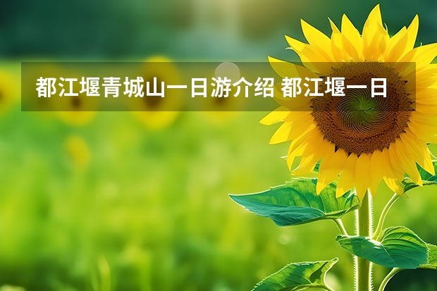 都江堰青城山一日游介绍 都江堰一日游自驾游攻略都江堰旅游攻略