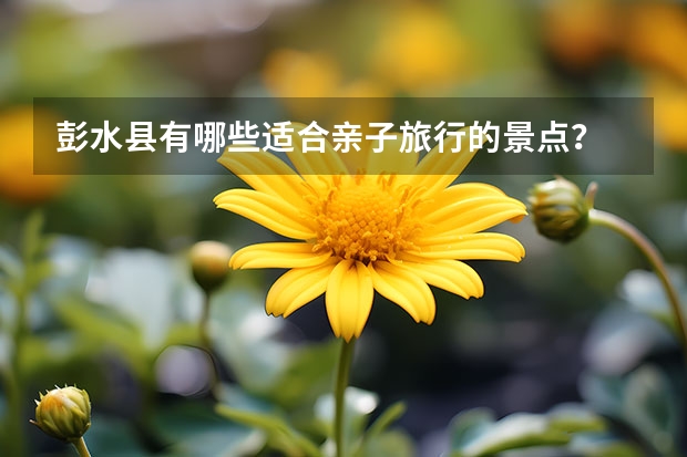彭水县有哪些适合亲子旅行的景点？