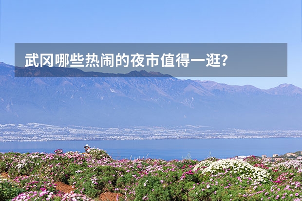 武冈哪些热闹的夜市值得一逛？